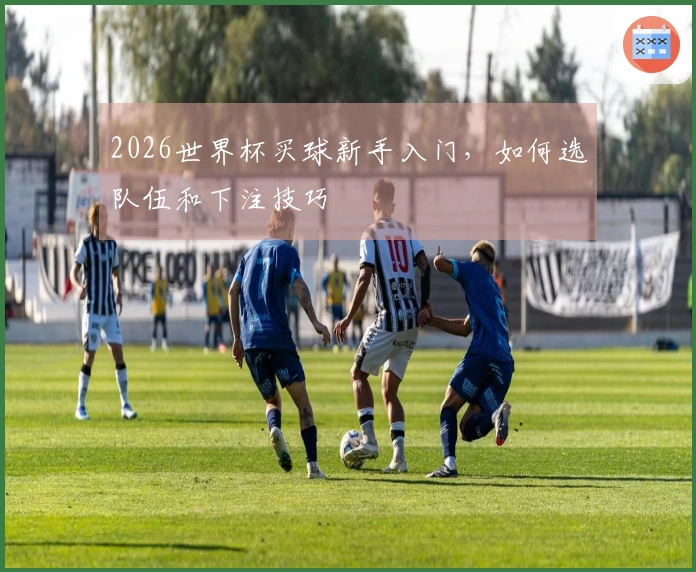 2026世界杯买球新手入门，如何选队伍和下注技巧