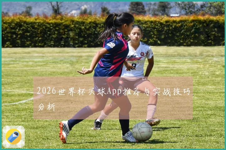 2026世界杯买球App推荐与实战技巧分析
