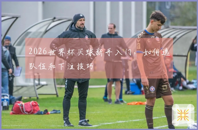 2026世界杯买球新手入门，如何选队伍和下注技巧