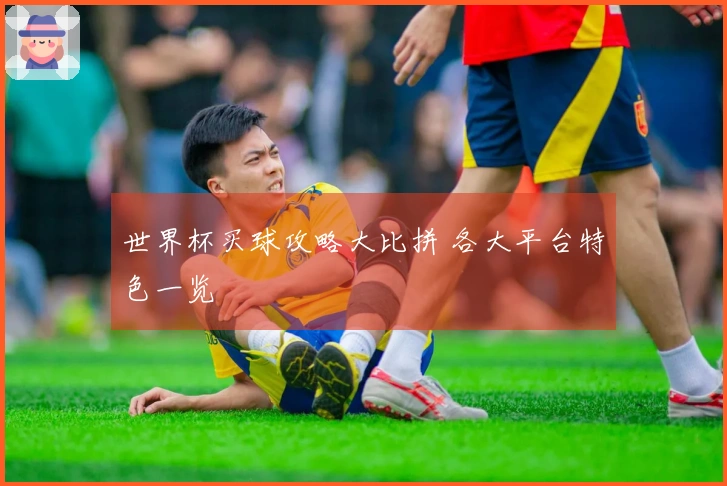世界杯买球攻略大比拼 各大平台特色一览