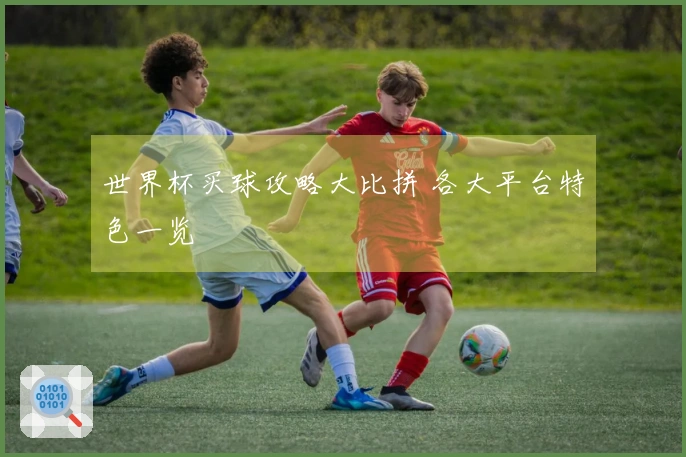 世界杯买球攻略大比拼 各大平台特色一览