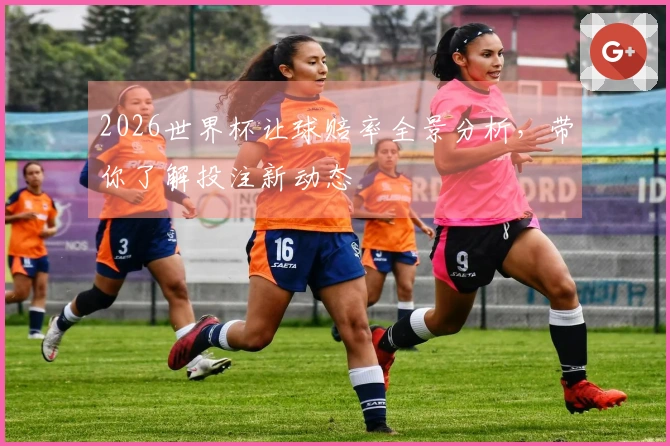 2026世界杯让球赔率全景分析，带你了解投注新动态