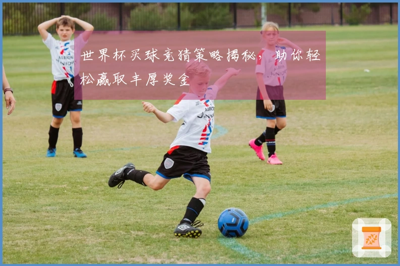 世界杯买球竞猜策略揭秘，助你轻松赢取丰厚奖金